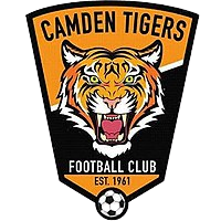 Logo Camden Tigers SC