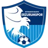 Erzurumspor FK