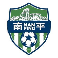 Logo Nanping Team