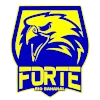 Forte FC Youth