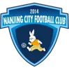 Nanjing City U17