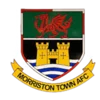 Morriston Town