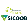 iải bóng đá Campeonato Mineiro Hạng 1 của Brasil