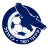 Ironi Nesher