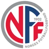 Đội tuyển U19 Nauy