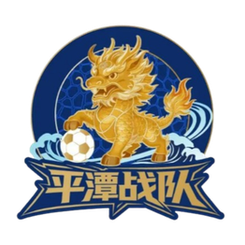 Logo Pingtan Team